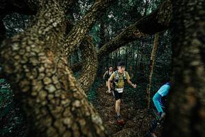 BIB: 
                            <button type="button" onclick="openModal(25698085)" class="btn btn-primary btn-sm float-right btn-popup" data-toggle="modal" data-target=".modal-high-quality">
                        <i class="fas fa-shopping-cart"></i> Add to Cart
                    </button>
                                            <button type="button" onclick="isThisMe(25698085, true)" class="btn btn-success btn-sm float-right btn-popup btn-isme hidden" data-toggle="tooltip" data-placement="bottom" title="นี่คือรูปของคุณใช่ไหม คลิกที่นี่เพื่อเอาเข้าอัลบั้ม">
                        <i class="fas fa-plus"></i> Add to album
                    </button>
                    <button type="button" onclick="isThisMe(25698085, false)" class="btn btn-warning btn-sm float-right btn-popup btn-isnotme hidden">
                        <i class="fas fa-ban"></i> Remove from album
                    </button>